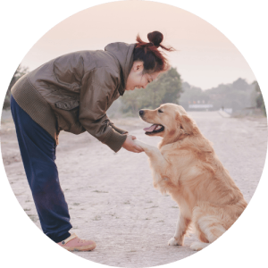 pet sitting The Pet Care Club of Loudoun