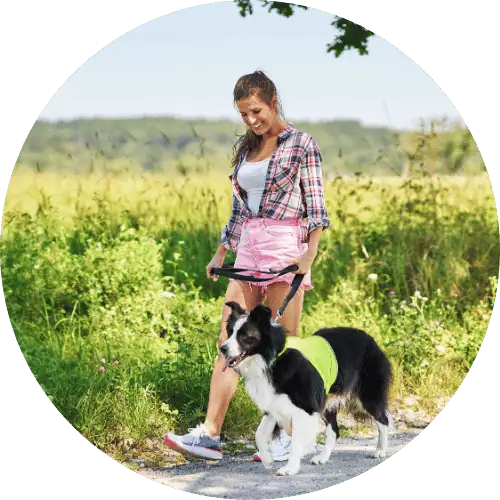 loudoun dog walking The Pet Care Club of Loudoun