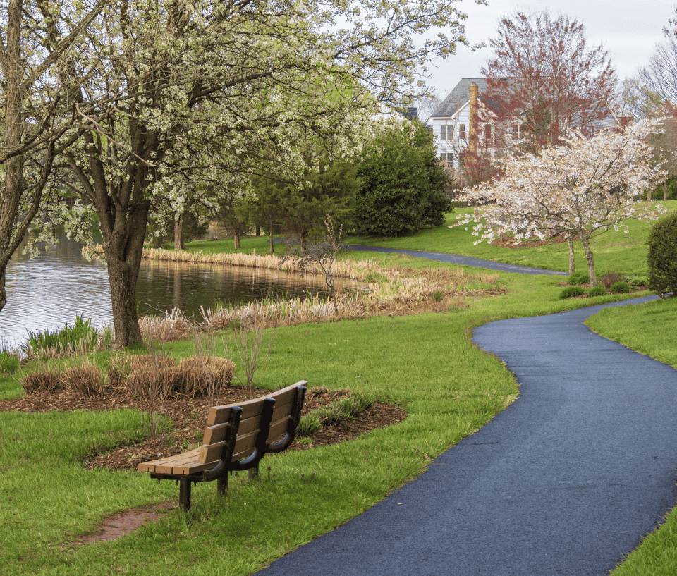 A bench beside a pathway along a pond in a US neighborhood in Ashburn, Virginia in spring time