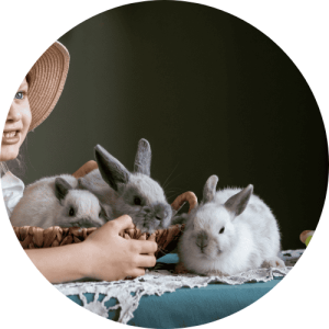 The Pet Care Club of Loundoun Small farm animal Sitting