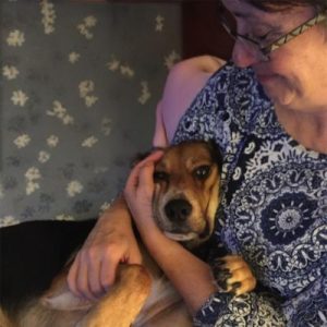 Janice Pet care Proffesional