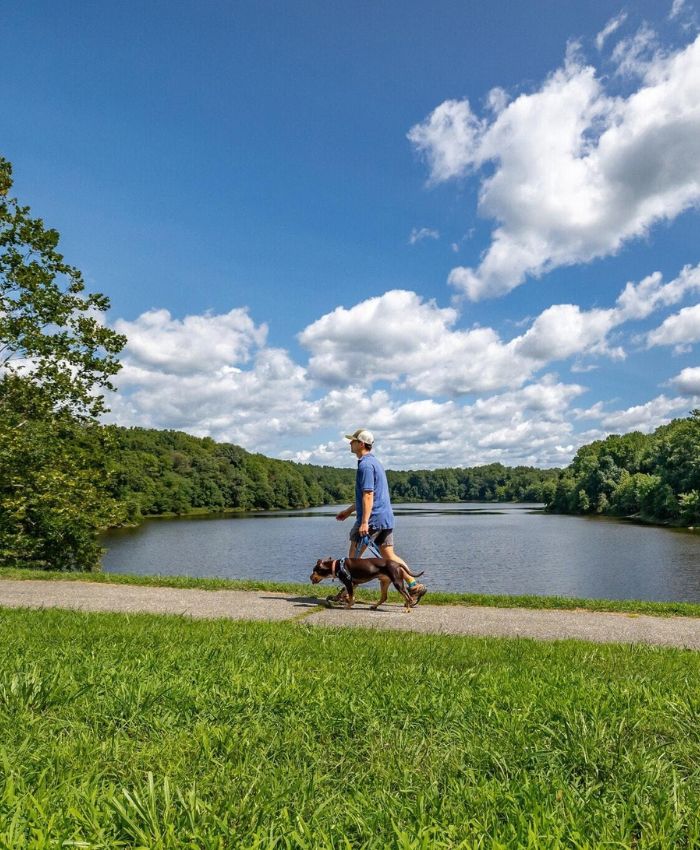 Dog walker walking a dog on a paved lakeside trail surrounded by green trees in Reston, Virginia.