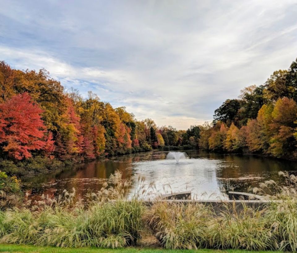 Tailored, Elevated Pet Care in Chantilly & Centreville